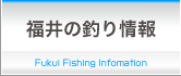 福井の釣り情報