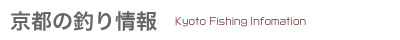 京都の釣り情報