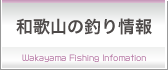 和歌山の釣り情報