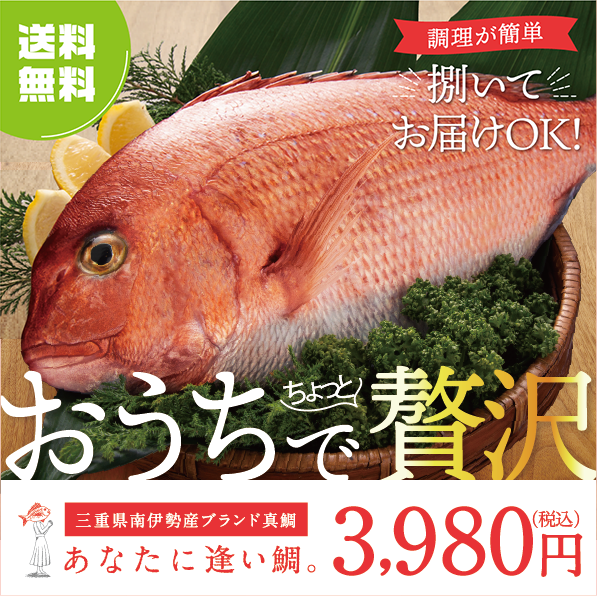 あなたに逢い鯛。