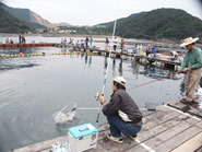 海上釣り堀　正徳丸