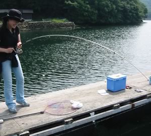 迫間 浦 釣り堀 センター