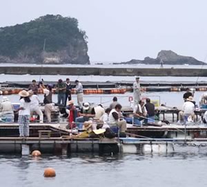 海上釣り堀　正徳丸