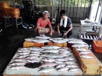 はさま浦釣り堀センター