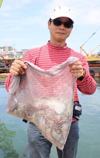 魚英