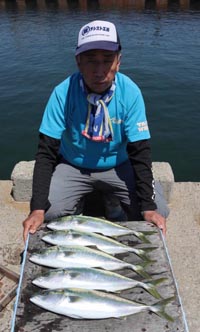 魚英