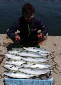 魚英