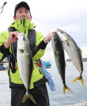 魚英