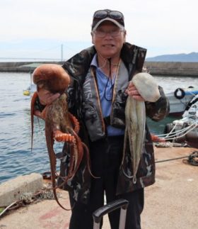 魚英
