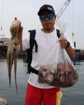 魚英