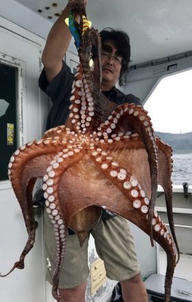 釣人家