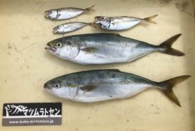 釣り船 松兵衛