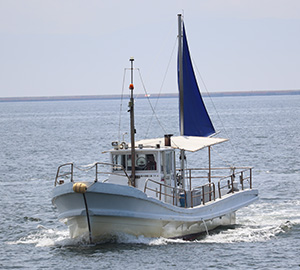 釣り船 松兵衛