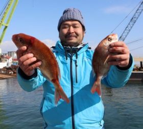 魚英