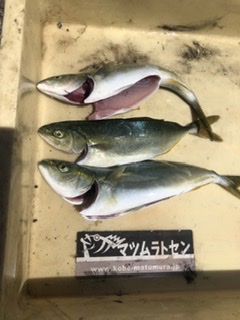 釣り船 松兵衛