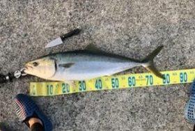 釣り船 松兵衛