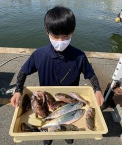 釣り船 松兵衛