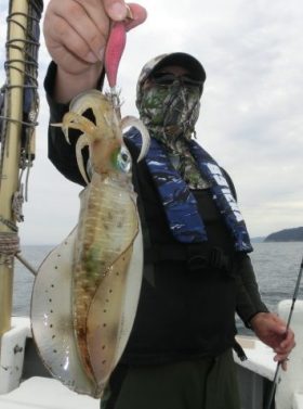 自慢の釣り写真 関西の釣り情報なら釣りステーション Part 4