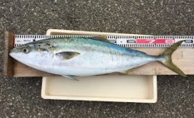 西野渡船