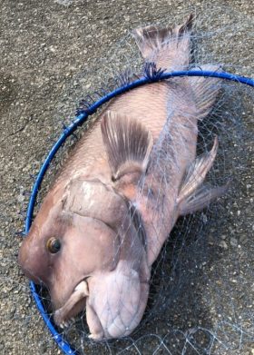 釣り船 松兵衛