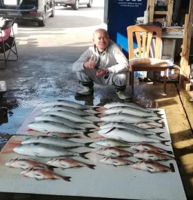 はさま浦釣り堀センター