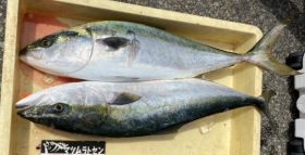 釣り船 松兵衛