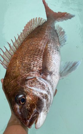 釣人家