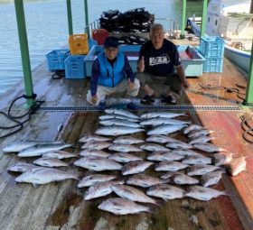 あなたに逢い鯛。釣り堀