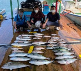 あなたに逢い鯛。釣り堀