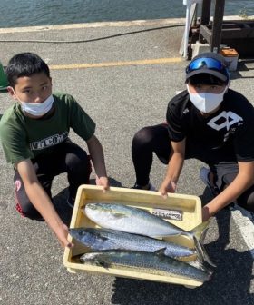 釣り船 松兵衛