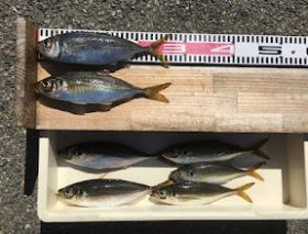 西野渡船