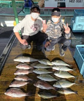 あなたに逢い鯛。釣り堀