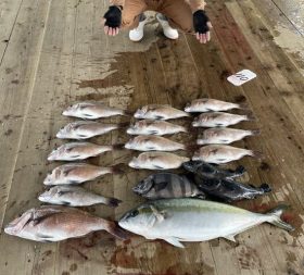 あなたに逢い鯛。釣り堀