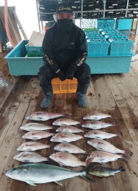 あなたに逢い鯛。釣り堀