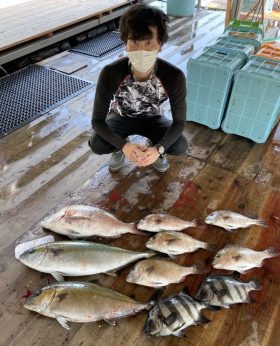 あなたに逢い鯛。釣り堀