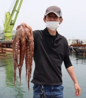 魚英