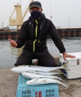 魚英