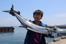 魚英