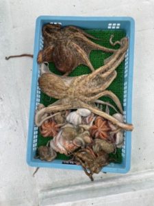 釣り船 松兵衛