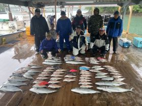 あなたに逢い鯛。釣り堀