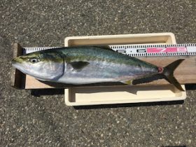 西野渡船