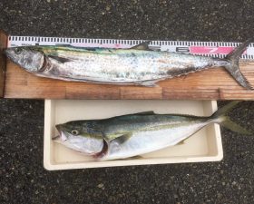 西野渡船