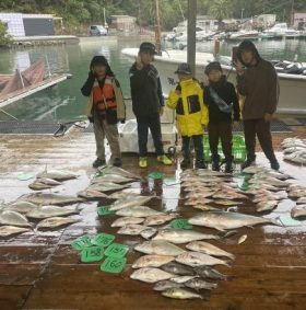 あなたに逢い鯛。釣り堀