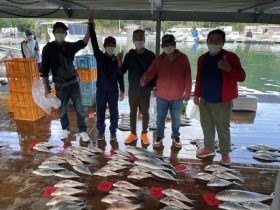 あなたに逢い鯛。釣り堀