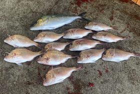 はさま浦釣り堀センター