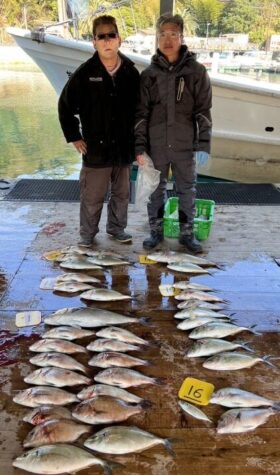 あなたに逢い鯛。釣り堀