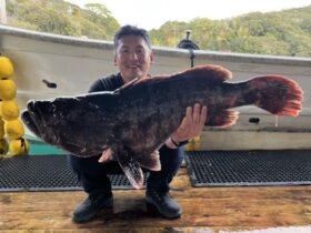 あなたに逢い鯛。釣り堀