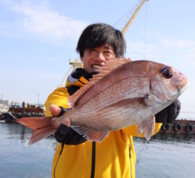 魚英