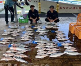 あなたに逢い鯛。釣り堀