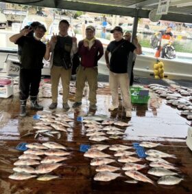 あなたに逢い鯛。釣り堀